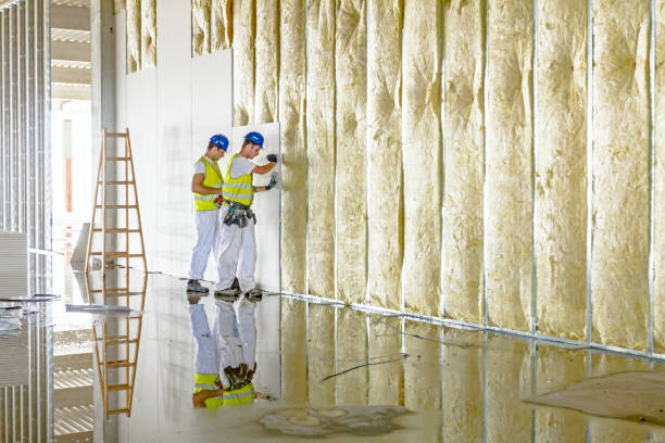Best DIY Insulation Kits and Guidance in Oakville, CT